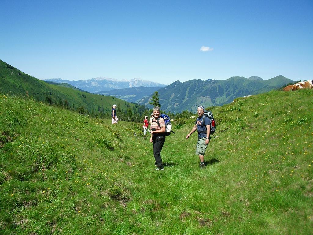 Der Perweinhof Leilighet Donnersbachwald Eksteriør bilde