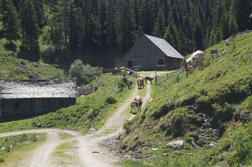 Der Perweinhof Leilighet Donnersbachwald Eksteriør bilde